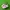 HOKA Sportswear Wanita pink photo 1
