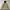 Japanese brand Vintage Casual Track jacket Pria khaki cream photo 2