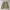 Japanese brand Vintage Casual Track jacket Pria khaki cream photo 8