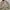 Japanese brand Vintage Casual Track jacket Pria khaki cream photo 4