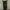 American Holic Baggy Pants Olive photo 1