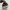 Nike jordan photo 4