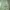 Vintage Streetwear Formal pants Pria green photo 2