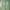 Vintage Streetwear Formal pants Pria green photo 6