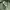 Vintage Streetwear Formal pants Pria green photo 4