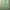 Vintage Streetwear Formal pants Pria green photo 3