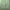 Vintage Streetwear Formal pants Pria green photo 7