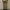 Alpha Industries Cargo Pants Brown photo 1