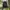 Backpack TNF SURGE BLACK '28L photo 5