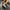 Vintage Streetwear Jeans Pria gray photo 4
