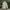 Kemeja wol vintage fashion long photo 1