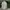 Kemeja wol vintage fashion long photo 2