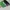 brixton mfg caps twotone topi brixton photo 6