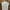 DRESS ECINOS HAPPY DRESS