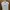 DRESS ECINOS HAPPY DRESS photo 1