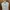 DRESS ECINOS HAPPY DRESS