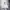 Nike Y2K Sportswear Fleece Pria white black photo 2