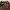 United Colors Of Benetton Vintage Y2K Fleece Pria Brown