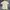 Burberry polo shirt original photo 2