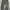 NIKE TRACKPANTS photo 5