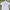 Vintage Y2K Sweatshirt Pria White