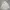 Streetwear Formal shirt Pria silver white photo 1