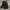 The North Face Casual Windbreaker Pria Black