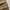 Dickies Vintage Streetwear Pria brown photo 8