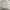 Unknown Brand Sweat Baggy Pants photo 1