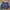 Mizuno Track Jacket Dongker