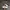ADIDAS SUPERSTAR WHITE BLACK photo 1