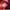 AIR JORDAN JUMPMAN TEAM 2 CHICAGO photo 5