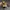 NIKE LUNAR FORCE 1 DUCKBOOT 18 photo 3
