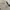 Vintage Raton Laveur Baggy Cargo Pants photo 3