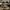 Dr Martens 1460 Pascal photo 1