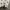 BOY London Casual Polo shirt Pria white photo 4