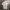 BOY London Casual Polo shirt Pria white photo 1
