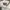 BOY London Casual Polo shirt Pria white photo 3