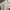 BOY London Casual Polo shirt Pria white photo 7