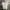 Tommy Hilfiger Minimalist Casual Polo shirt Pria white photo 1