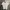 Tommy Hilfiger Minimalist Casual Polo Shirt Pria White
