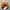 Ellesse Luxury Casual Hat Pria orange photo 4