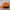 Ellesse Luxury Casual Hat Pria orange photo 5