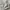 H&M Luxury Casual Sweater Wanita gray photo 3