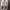 Playboy Streetwear Skater Sneakers Pria white photo 2