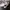 Playboy Streetwear Skater Sneakers Pria white photo 1