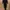 Formal Evening Dress photo 1