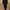 Formal Evening Dress