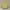 Japanese brand Vintage Biker Bomber jacket Pria gold yellow photo 2