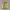 Japanese brand Vintage Biker Bomber jacket Pria gold yellow photo 1